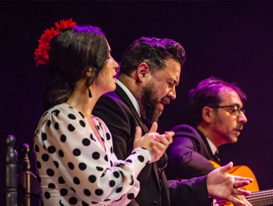 Ruta Castizo y Sr. Cangrejo + Bus Turístico + Flamenco + Kukuchurro 7