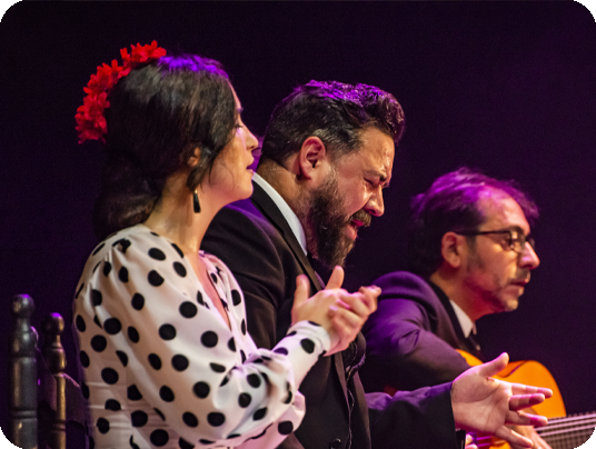 Show Flamenco