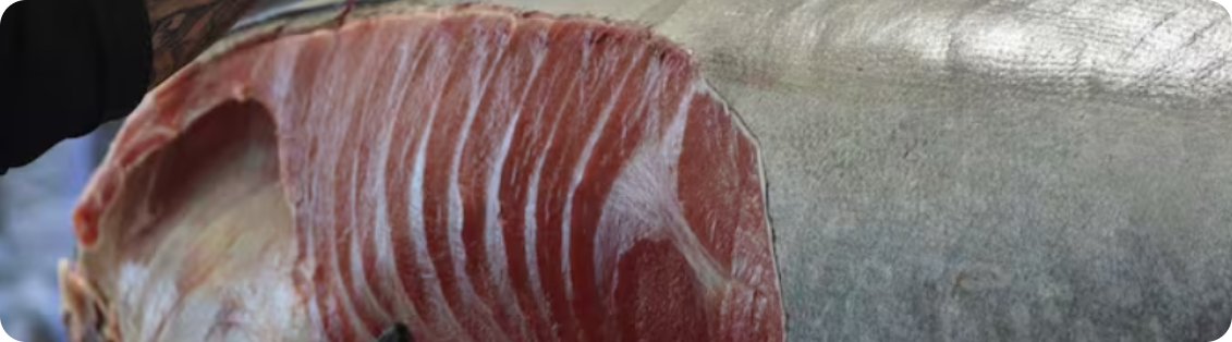 El Ronqueo del Atún, la Tradición Gastronómica que Conquista Andalucía, una tradición con siglos de historia